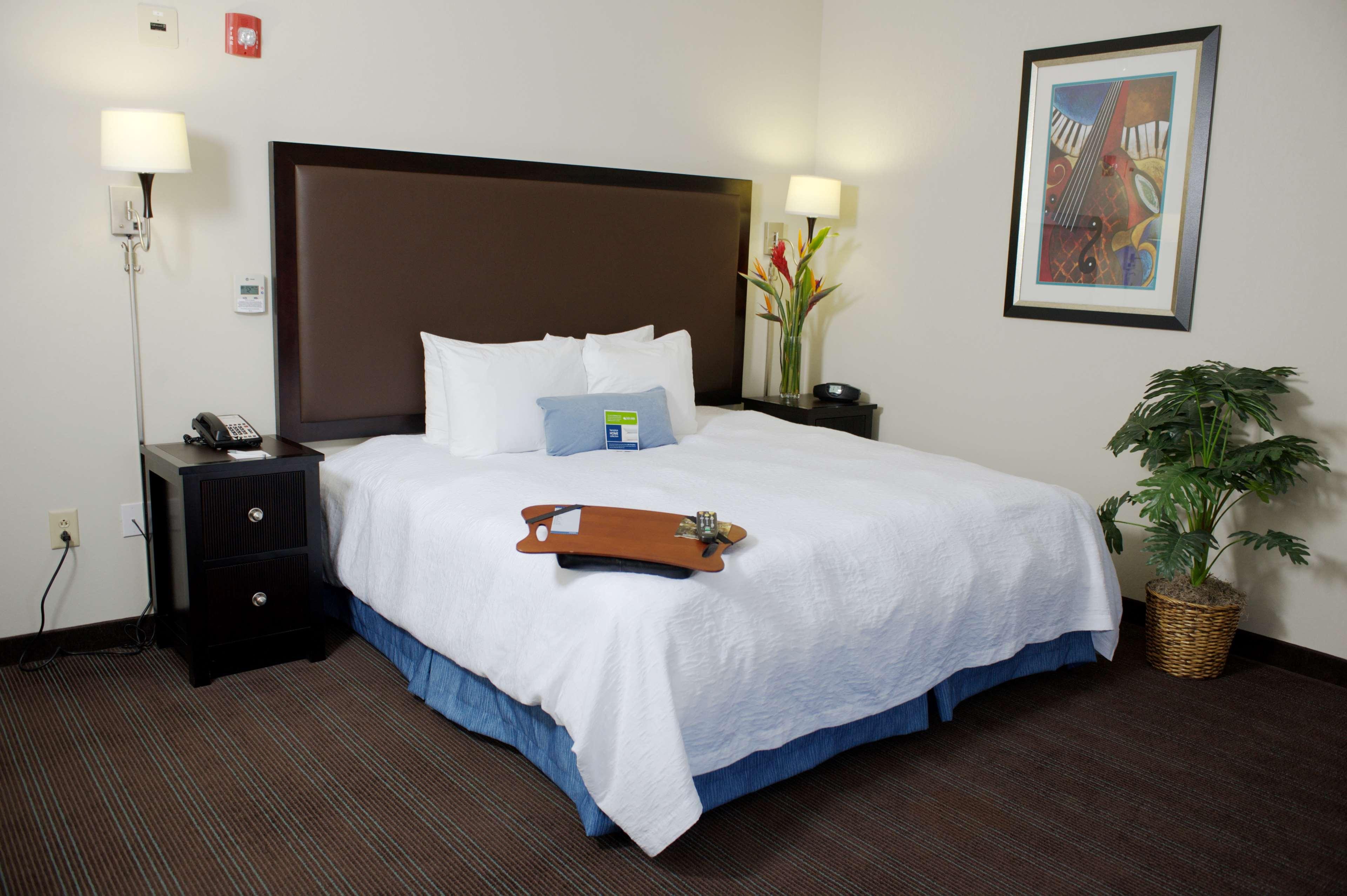 Hampton Inn & Suites Nashville-Downtown Habitación foto
